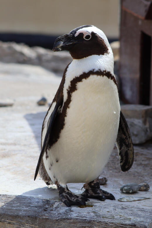 Natureland Seal Sanctuary, Skegness