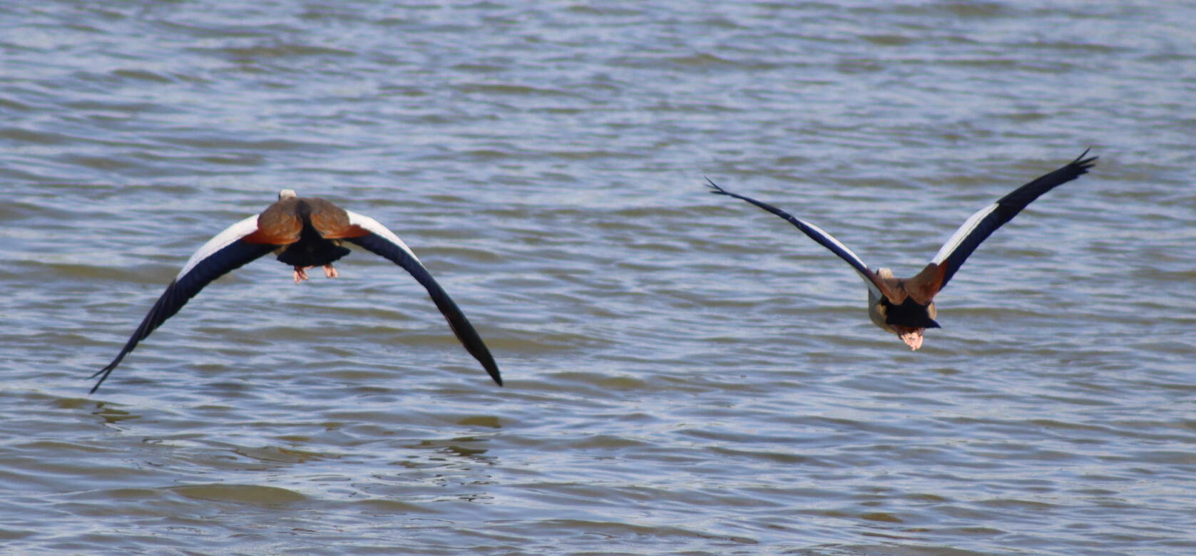 Deeping Lakes Nature Reserve