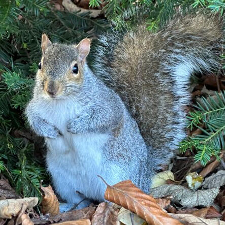 Central Park, Peterborough