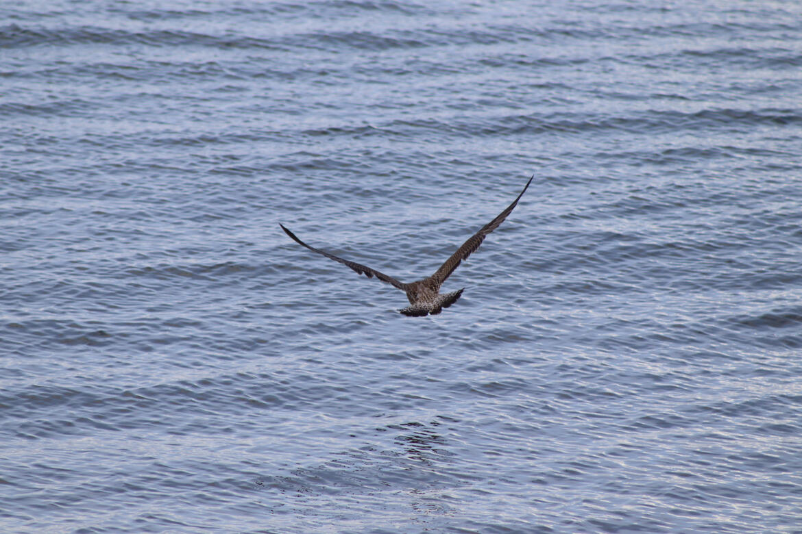 Hunstanton