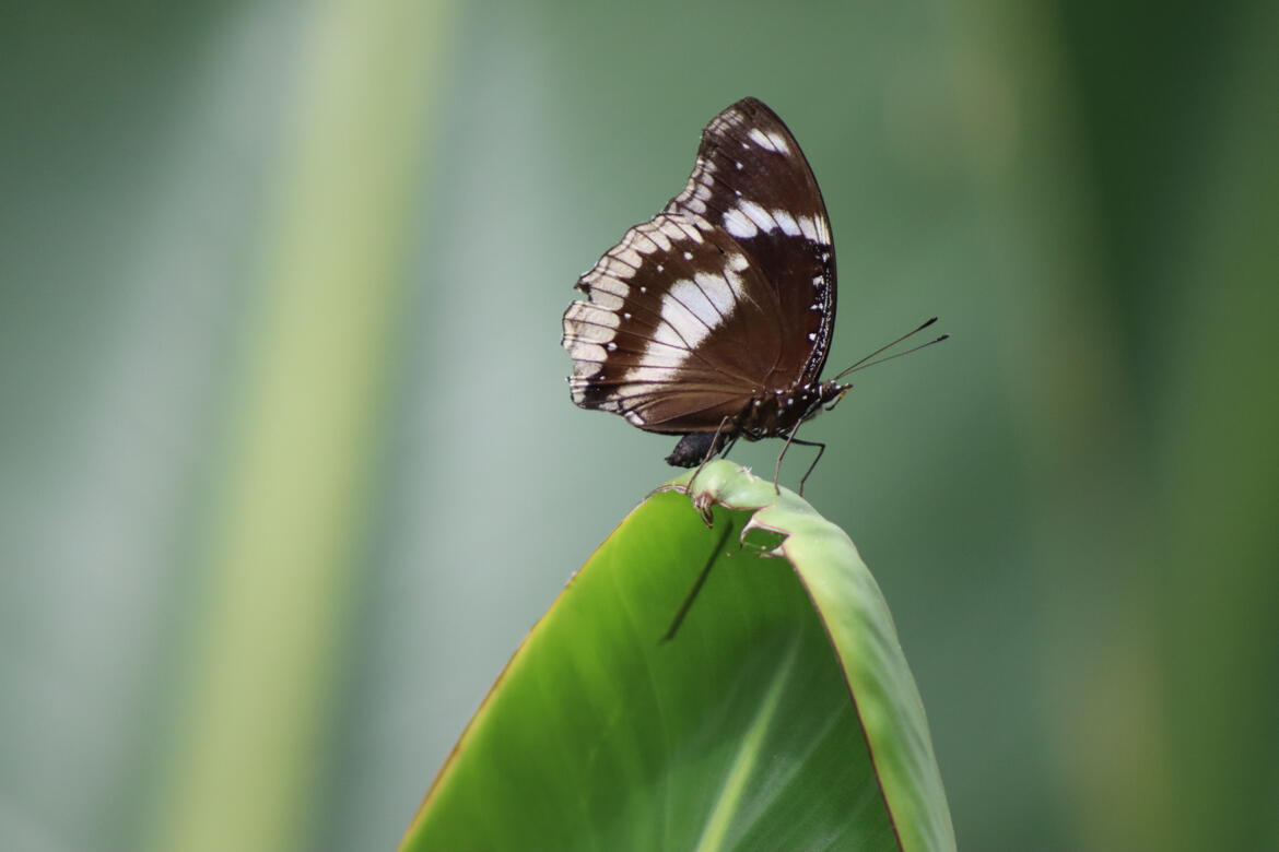 Natureland Seal Sanctuary, Skegness