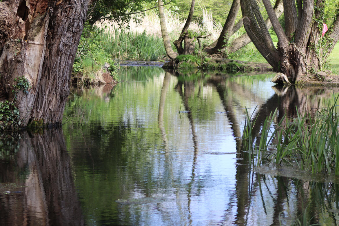 Wellhead Park, Bourne