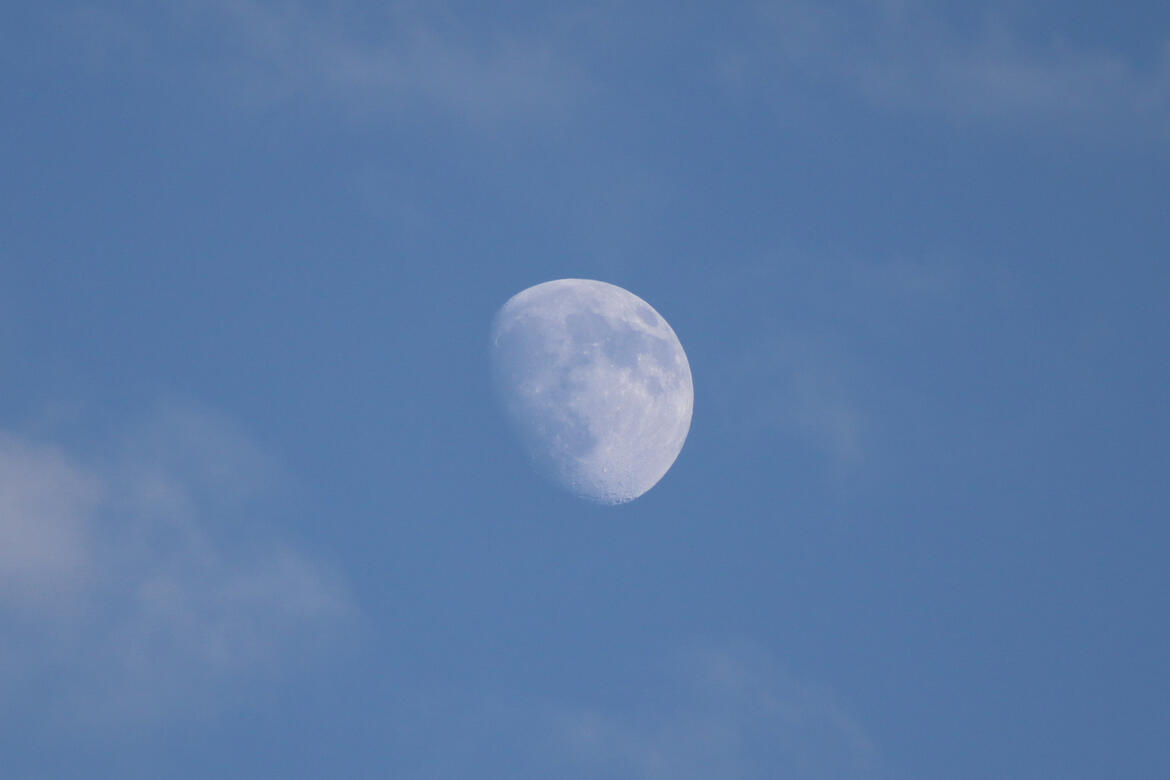 Moon
