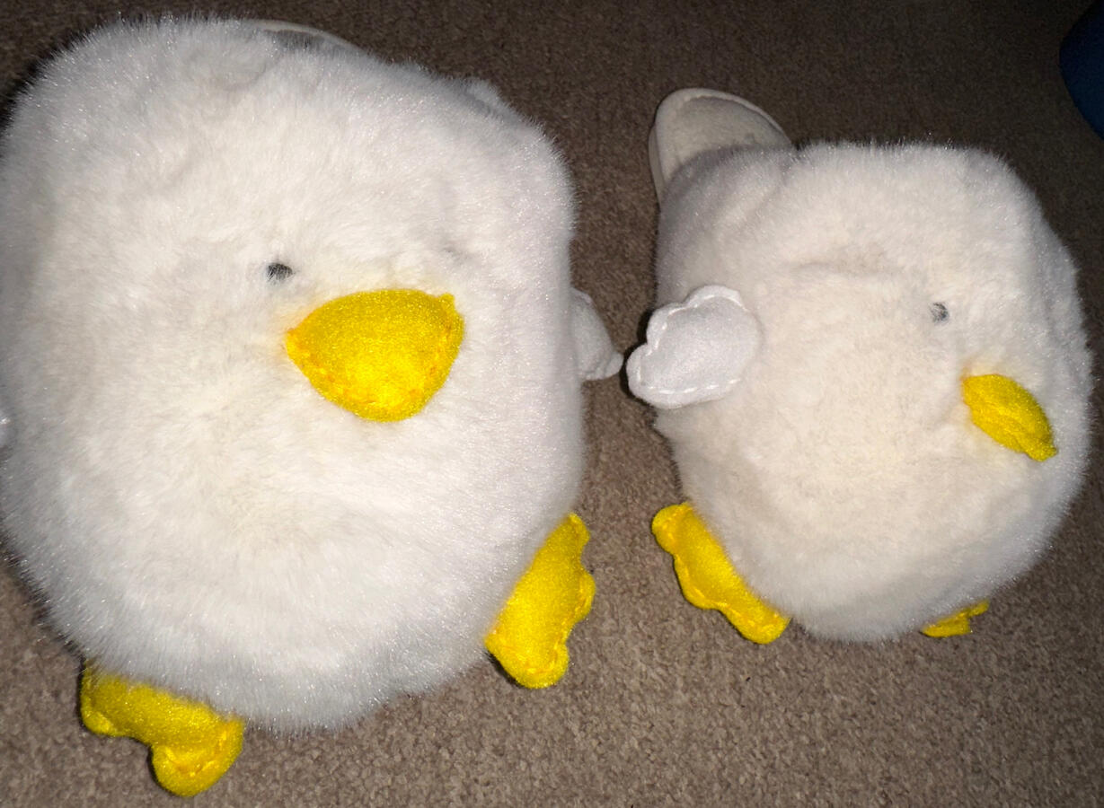 Custom Slippers