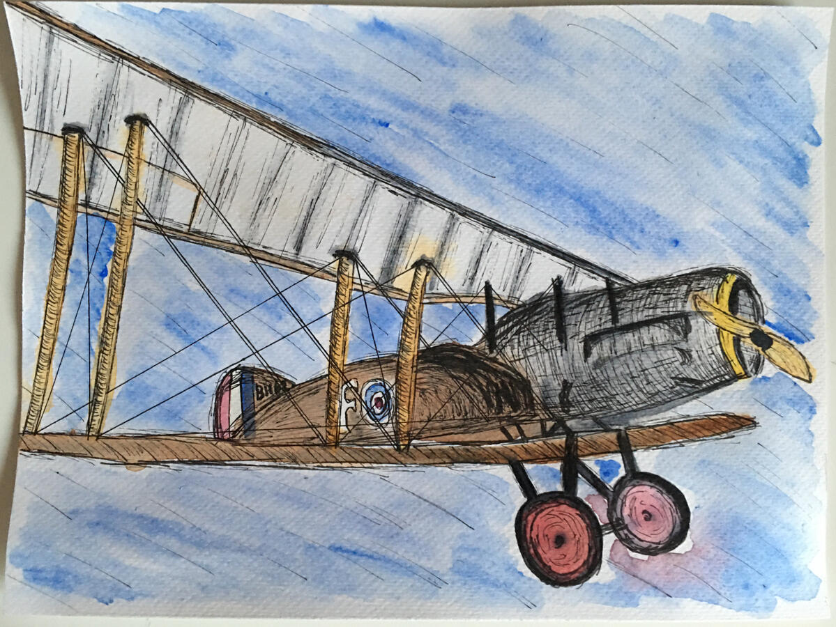 Shuttleworth Watercolour and Fine Liner painting